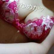 ヒメ日記 2025/11/15 12:14 投稿 ゆめかさん －PTA－