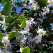 ヒメ日記 2025/11/20 15:54 投稿 ゆめかさん －PTA－