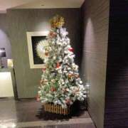 ヒメ日記 2025/12/21 16:44 投稿 ゆめかさん －PTA－