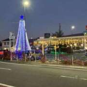 ヒメ日記 2025/12/24 10:04 投稿 ゆめかさん －PTA－