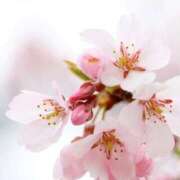 ヒメ日記 2026/03/16 10:04 投稿 ゆめかさん －PTA－