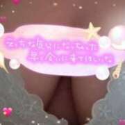 ヒメ日記 2024/12/20 07:44 投稿 神山 名古屋デッドボール