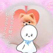 ヒメ日記 2024/12/20 09:23 投稿 神山 名古屋デッドボール