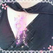 ヒメ日記 2025/04/07 09:37 投稿 神山 名古屋デッドボール