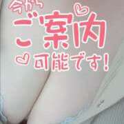 ヒメ日記 2025/08/12 10:26 投稿 神山 名古屋デッドボール