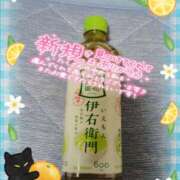 ヒメ日記 2025/11/03 17:53 投稿 神山 名古屋デッドボール