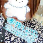 ヒメ日記 2025/12/30 16:10 投稿 神山 名古屋デッドボール