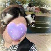 ヒメ日記 2026/01/18 14:52 投稿 神山 名古屋デッドボール