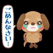 ヒメ日記 2026/01/19 08:26 投稿 神山 名古屋デッドボール