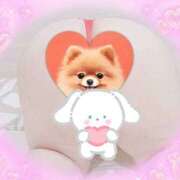 ヒメ日記 2026/02/16 08:51 投稿 神山 名古屋デッドボール