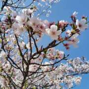 ヒメ日記 2026/04/01 11:23 投稿 神山 名古屋デッドボール