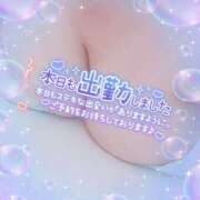 ヒメ日記 2026/04/20 10:12 投稿 神山 名古屋デッドボール