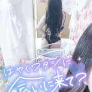 ヒメ日記 2025/02/11 17:52 投稿 樹梨-じゅり【FG系列】 ほんつま 町田/相模原店