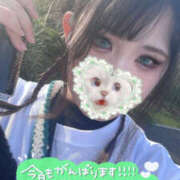 ヒメ日記 2025/04/06 16:30 投稿 樹梨-じゅり【FG系列】 ほんつま 町田/相模原店