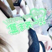 ヒメ日記 2025/04/12 03:04 投稿 樹梨-じゅり【FG系列】 ほんつま 町田/相模原店