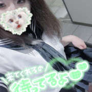 ヒメ日記 2025/06/07 04:33 投稿 樹梨-じゅり【FG系列】 ほんつま 町田/相模原店