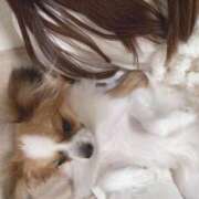 ヒメ日記 2025/01/30 21:19 投稿 白雪　そらは エテルナ京都