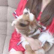 ヒメ日記 2025/06/10 22:23 投稿 白雪　そらは エテルナ京都