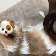 白雪　そらは (´･_･`) エテルナ京都