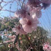 さくら お久しぶりです☺️ 東京人妻セレブリティ（ユメオト）