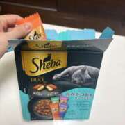 ヒメ日記 2026/02/23 09:39 投稿 夏目　看護師 渋谷アナル専門M性感　渋谷KANGO