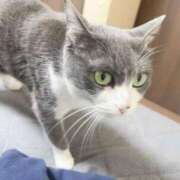 ヒメ日記 2025/06/08 20:44 投稿 あや シルクハット