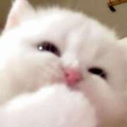 ヒメ日記 2025/10/05 12:16 投稿 あや シルクハット