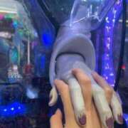 ヒメ日記 2025/12/07 16:50 投稿 あんな イキなり生彼女from大宮