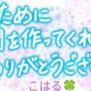 ヒメ日記 2024/09/01 13:47 投稿 こはる 出逢い