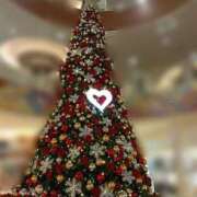 ヒメ日記 2024/12/25 22:37 投稿 こはる 出逢い