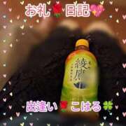 ヒメ日記 2024/12/31 16:57 投稿 こはる 出逢い