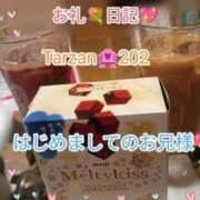 ヒメ日記 2025/02/01 23:47 投稿 こはる 出逢い