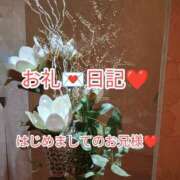 ヒメ日記 2025/02/27 11:37 投稿 こはる 出逢い