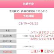 ヒメ日記 2025/03/19 18:37 投稿 こはる 出逢い