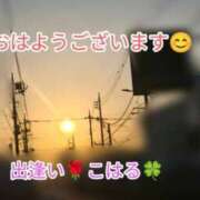 ヒメ日記 2025/03/29 11:57 投稿 こはる 出逢い