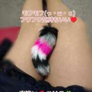 ヒメ日記 2025/04/30 14:57 投稿 こはる 出逢い