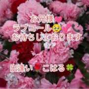 ヒメ日記 2025/05/01 14:17 投稿 こはる 出逢い