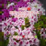 ヒメ日記 2025/05/05 23:07 投稿 こはる 出逢い