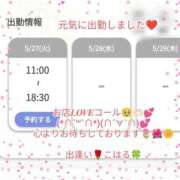 ヒメ日記 2025/05/27 11:17 投稿 こはる 出逢い