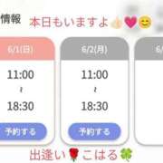 ヒメ日記 2025/06/01 14:27 投稿 こはる 出逢い