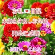 ヒメ日記 2025/06/19 22:47 投稿 こはる 出逢い