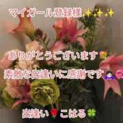 ヒメ日記 2025/07/09 16:47 投稿 こはる 出逢い