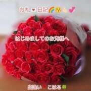 ヒメ日記 2025/07/26 05:17 投稿 こはる 出逢い