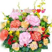 ヒメ日記 2025/07/26 07:17 投稿 こはる 出逢い