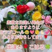 ヒメ日記 2025/09/05 13:17 投稿 こはる 出逢い