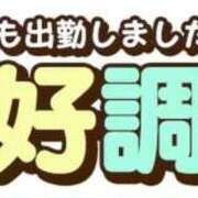 ヒメ日記 2025/09/08 13:27 投稿 こはる 出逢い