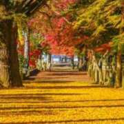 ヒメ日記 2025/10/02 12:27 投稿 こはる 出逢い