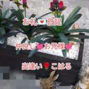 ヒメ日記 2025/10/29 00:27 投稿 こはる 出逢い