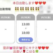 ヒメ日記 2025/10/30 05:07 投稿 こはる 出逢い