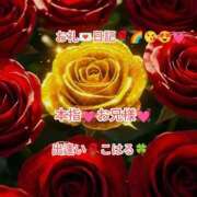 ヒメ日記 2025/11/01 00:37 投稿 こはる 出逢い